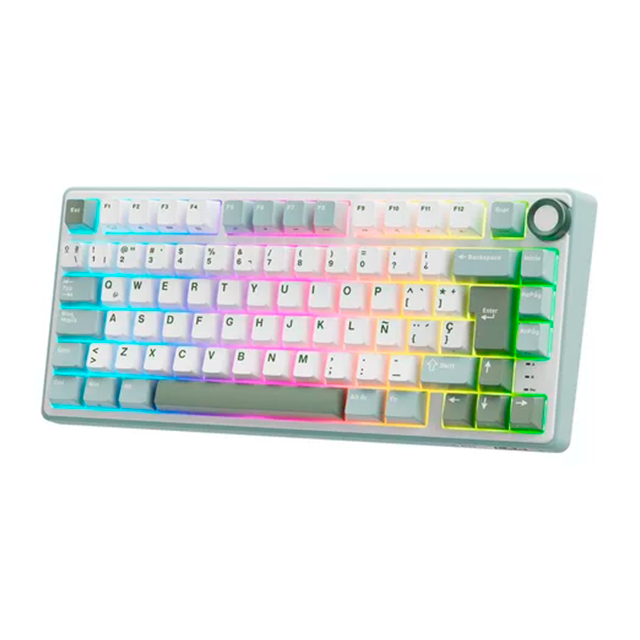 RK ROYAL KLUDGE RKR75SK Teclado Gamer, 75% RGB retroiluminado teclado mecánico color verde