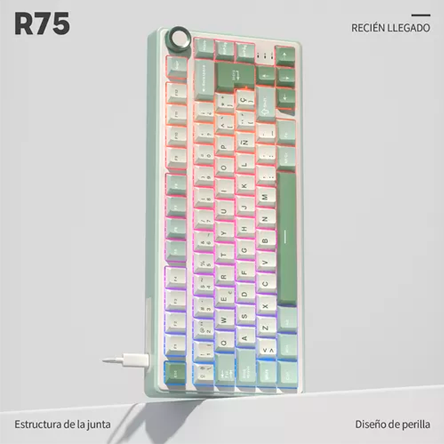 RK ROYAL KLUDGE RKR75SK Teclado Gamer, 75% RGB retroiluminado teclado mecánico color verde