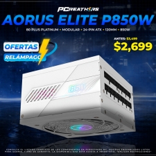 OFR007 - Fuente de Poder AORUS ELITE P850W 80 PLUS Platinum, 850W